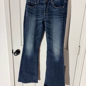 American Eagle Outfitters Dark Blue Artist Stretch